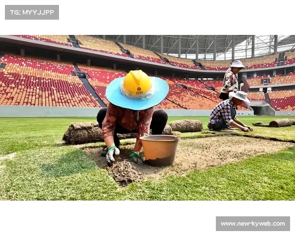 全新灌溉系统助力流明球场升级为世界杯级天然草坪